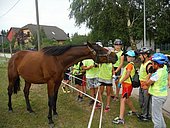 Rajd Rowerowy 2016 turnus 2